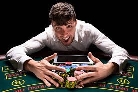 7bet br